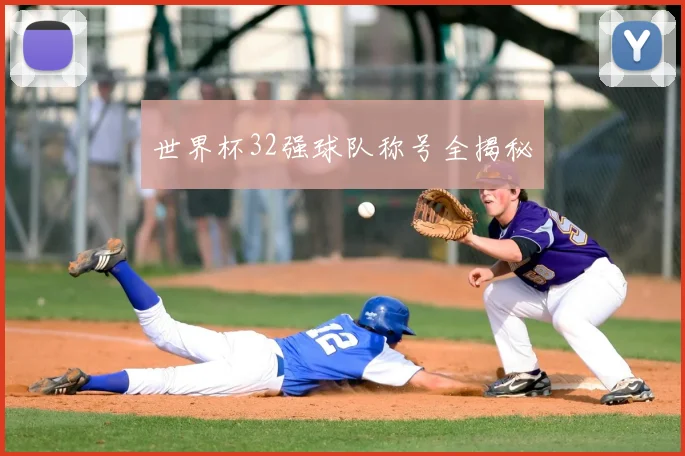 世界杯32强球队称号全揭秘