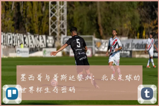 墨西哥与哥斯达黎加:北美足球的世界杯生存密码