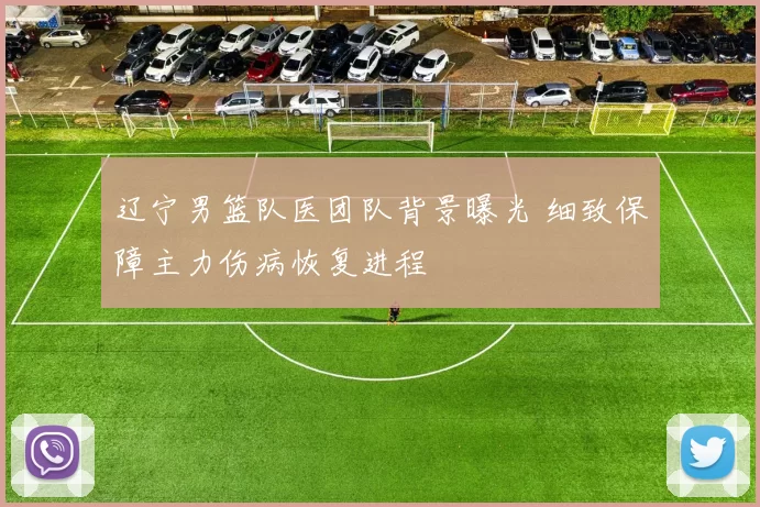 辽宁男篮队医团队背景曝光 细致保障主力伤病恢复进程