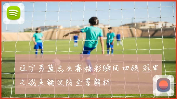 辽宁男篮总决赛精彩瞬间回顾 冠军之战关键攻防全景解析