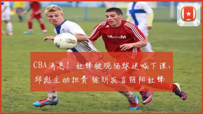 CBA消息！杜锋被现场球迷喊下课，邱彪主动担责 徐昕发言阴阳杜锋