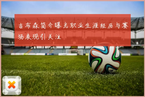 吉布森简介曝光职业生涯经历与赛场表现引关注