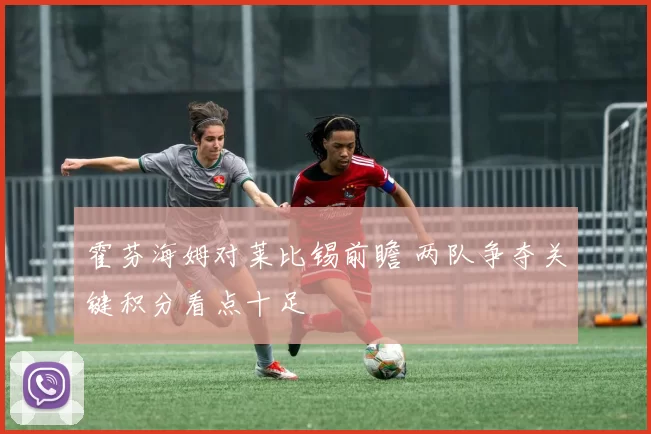 霍芬海姆对莱比锡前瞻 两队争夺关键积分看点十足